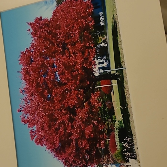 Live auction - Picture 1 of 1